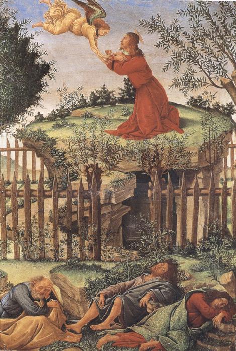 Sandro Botticelli prayer in the Garden (mk36) Spain oil painting art